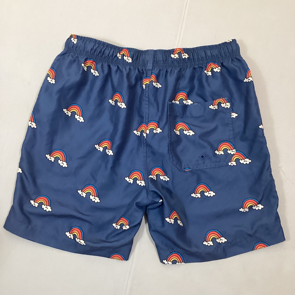 Pacsun Ambsn California Rainbow Swim Trunks - Picture 2 of 8